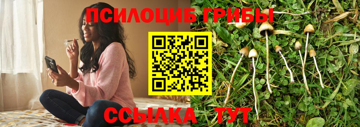 Лиски  Галлюциногенные грибы Psilocybine cubensis  где купить наркоту  Вход с VPN 